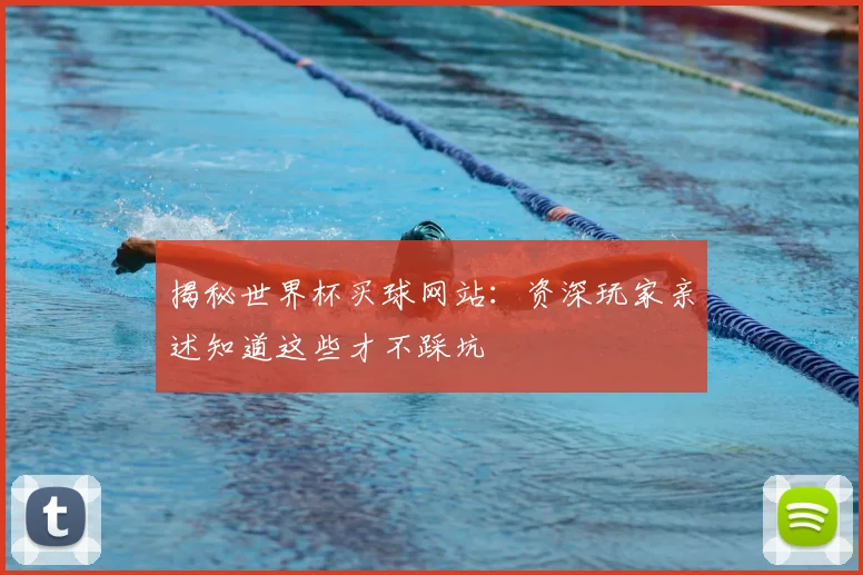 揭秘世界杯买球网站：资深玩家亲述知道这些才不踩坑
