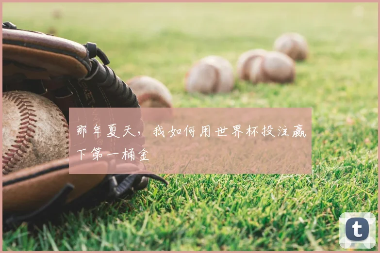 那年夏天，我如何用世界杯投注赢下第一桶金