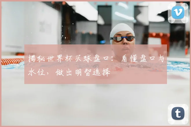 揭秘世界杯买球盘口:看懂盘口与水位,做出明智选择