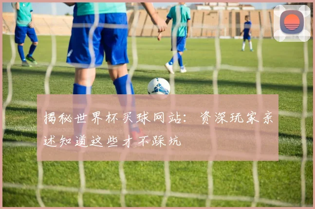 揭秘世界杯买球网站：资深玩家亲述知道这些才不踩坑