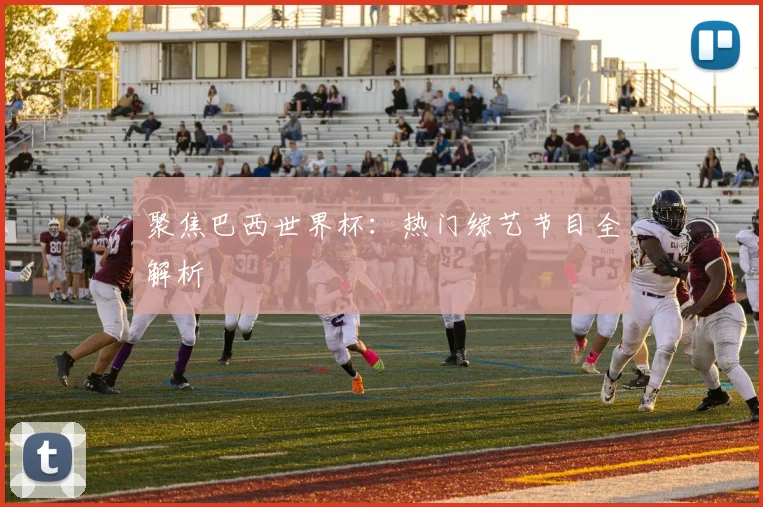 聚焦巴西世界杯：热门综艺节目全解析