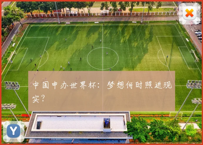 中国申办世界杯：梦想何时照进现实？