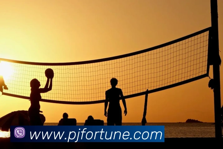 333体育官网是什么品牌故事