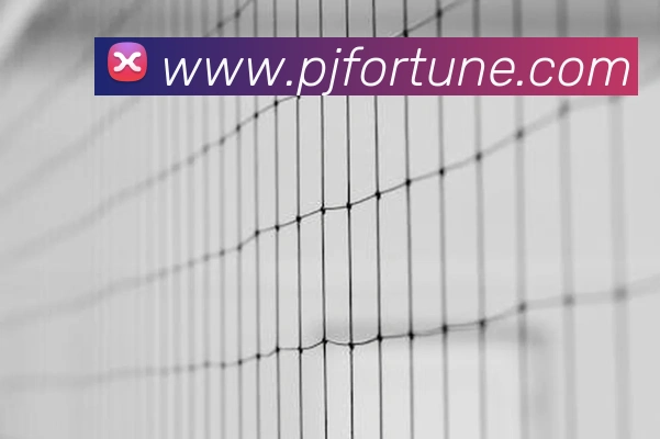 333体育官网是什么服务体系